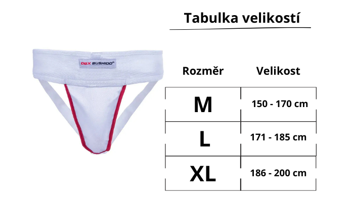 Text odstavce_1